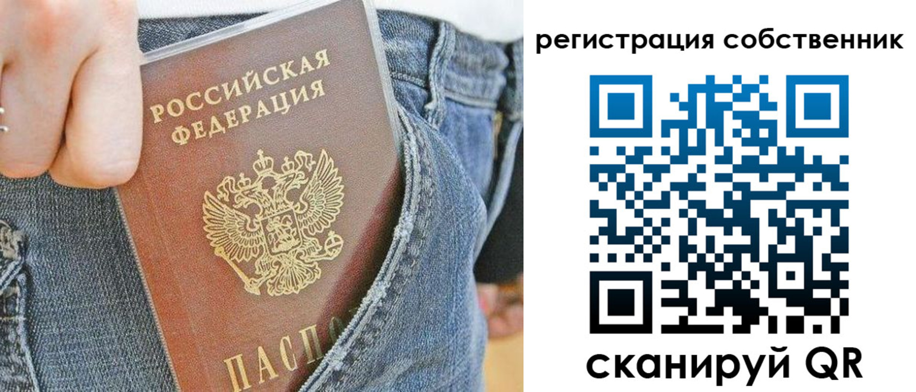 временная регистрация гарантия в Полярных Зорях